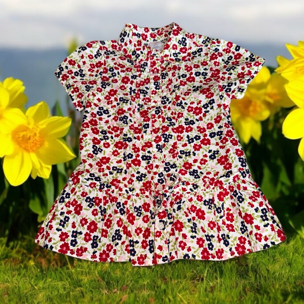 Girls Floral Tunic Top Gymboree (6)